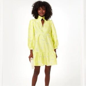 Tuckernuck | Dresses | Citron Fil Coupe Palmerston | NWT
